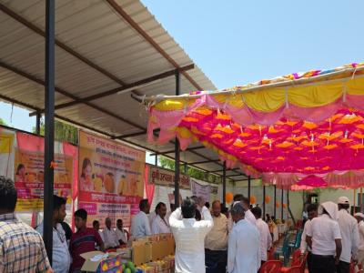 Mango Fest1
