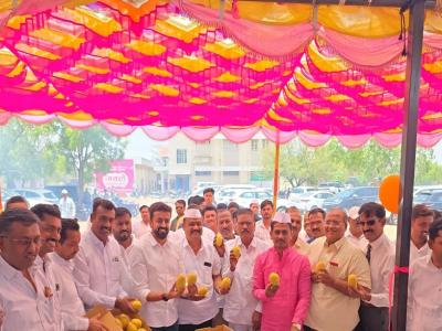 Mango Fest