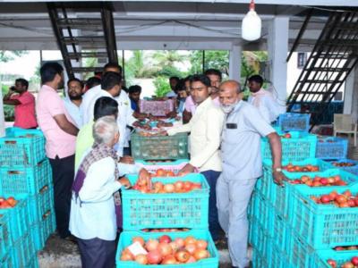 Main Market Pomogranate Auction 2