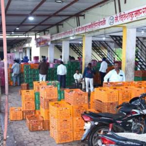 Main_market_Pomogranate_auction_1_original