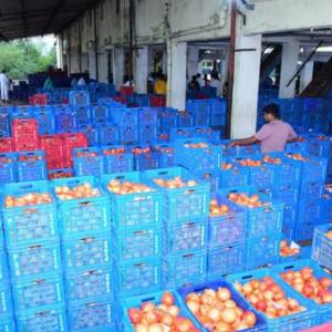 Main_market_Pomogranate_auction_original